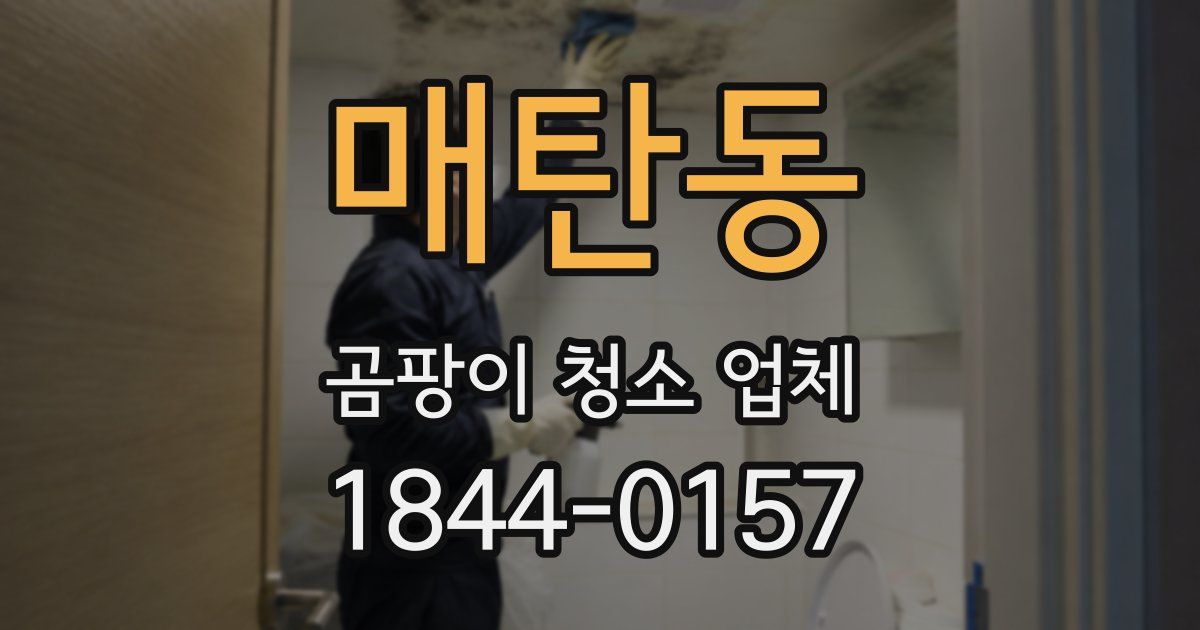 매탄동 곰팡이 청소 업체