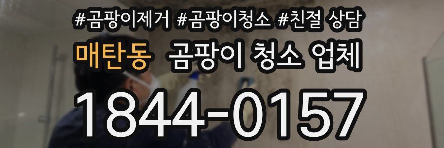 매탄동 곰팡이 청소 업체