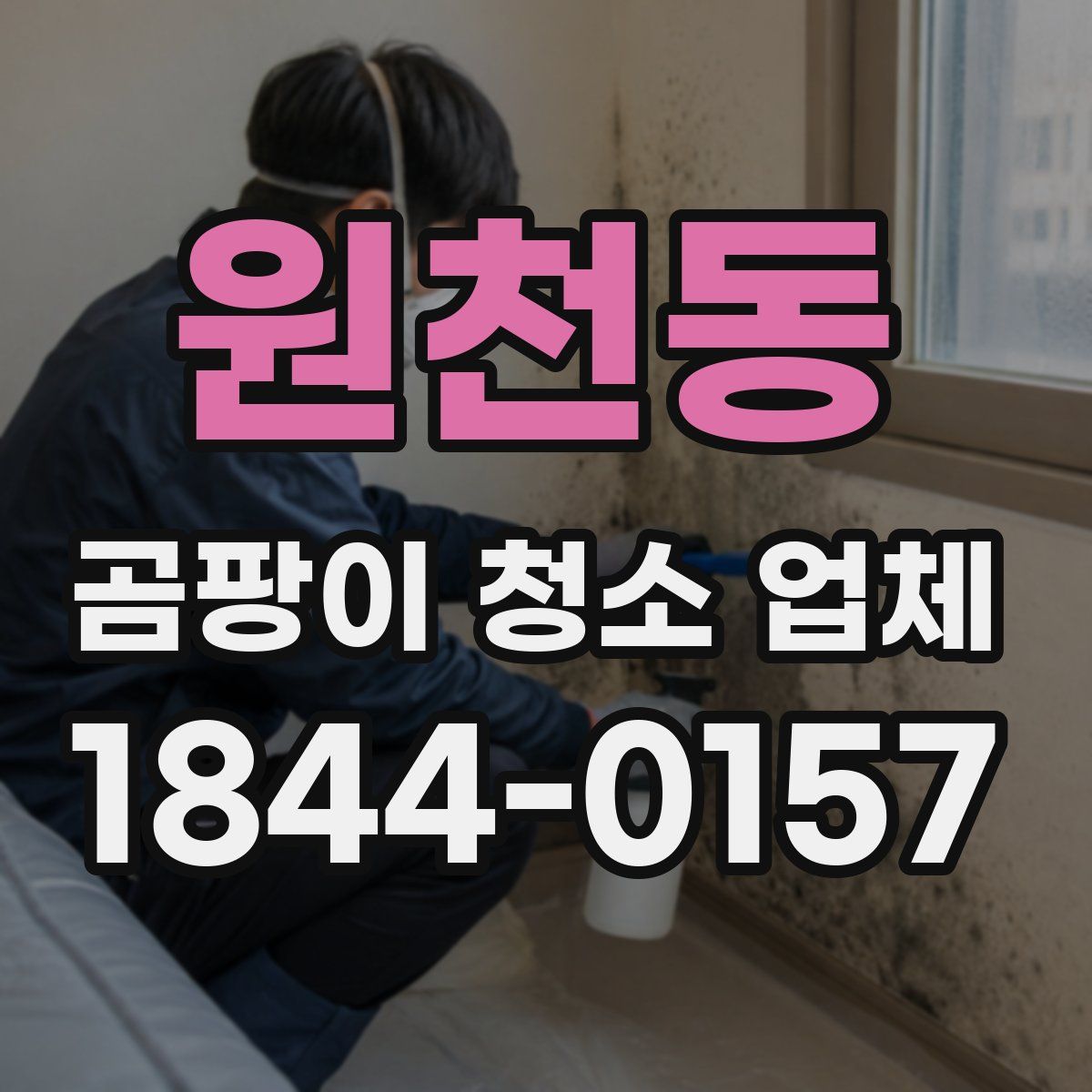 원천동 곰팡이 청소 업체