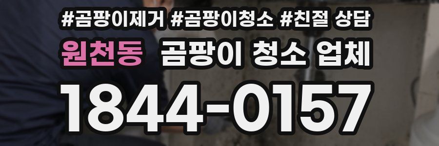원천동 곰팡이 청소 업체