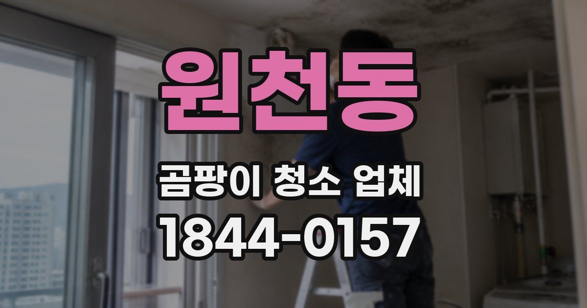 원천동 곰팡이 청소 업체