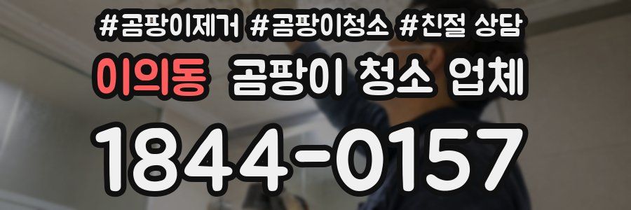 이의동 곰팡이 청소 업체