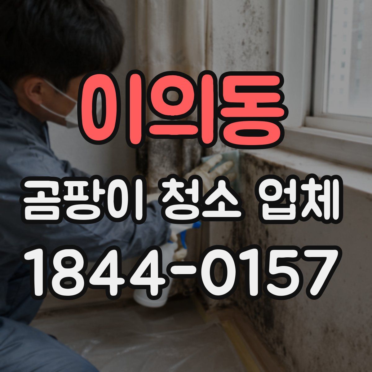 이의동 곰팡이 청소 업체