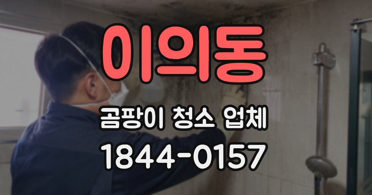 이의동 곰팡이 청소 업체