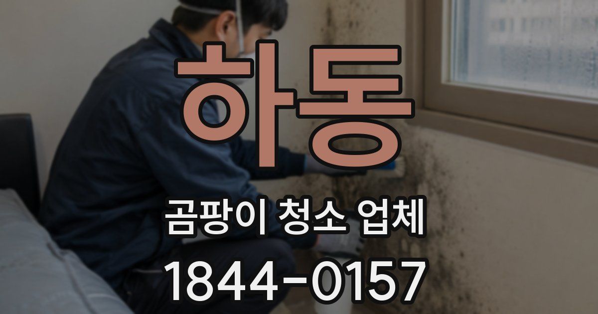 하동 곰팡이 청소 업체