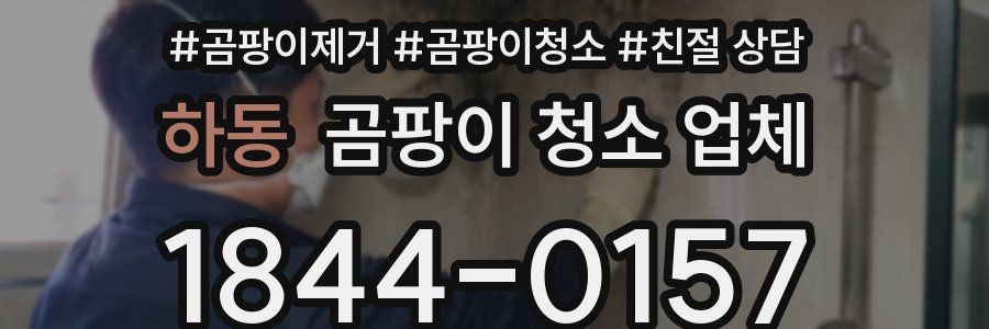 하동 곰팡이 청소 업체