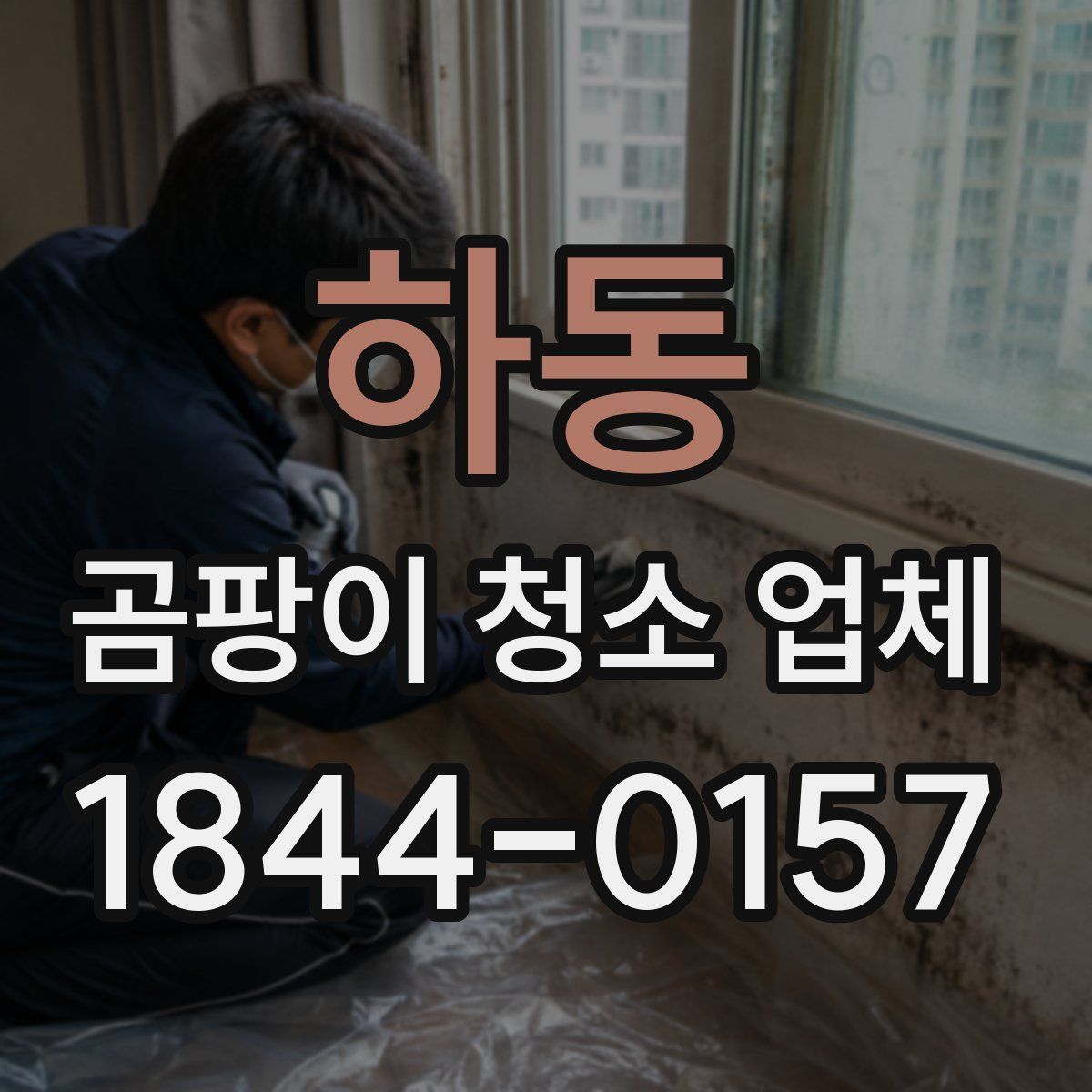 하동 곰팡이 청소 업체
