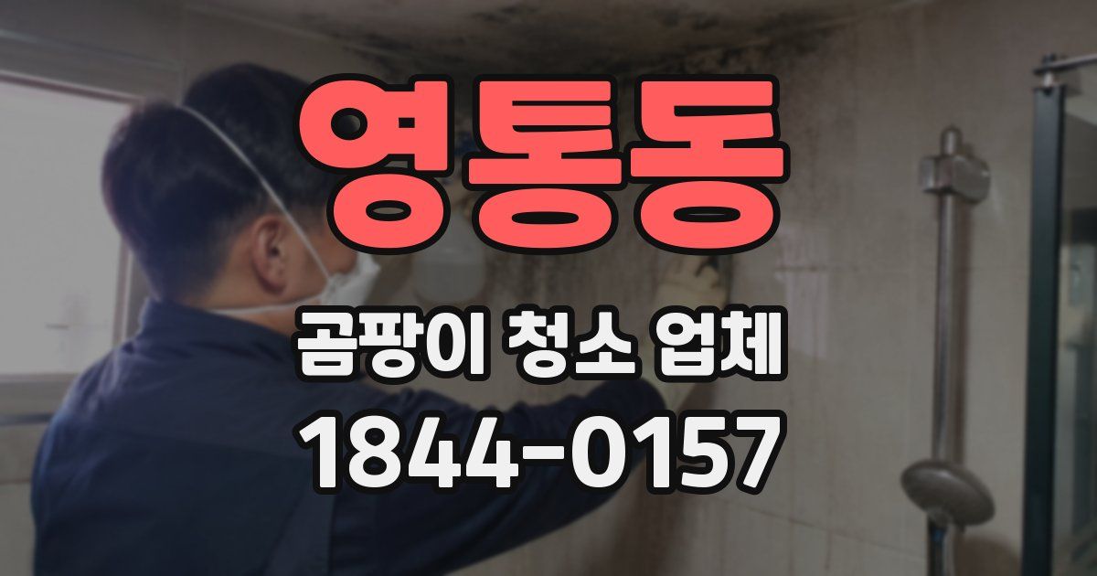 영통동 곰팡이 청소 업체