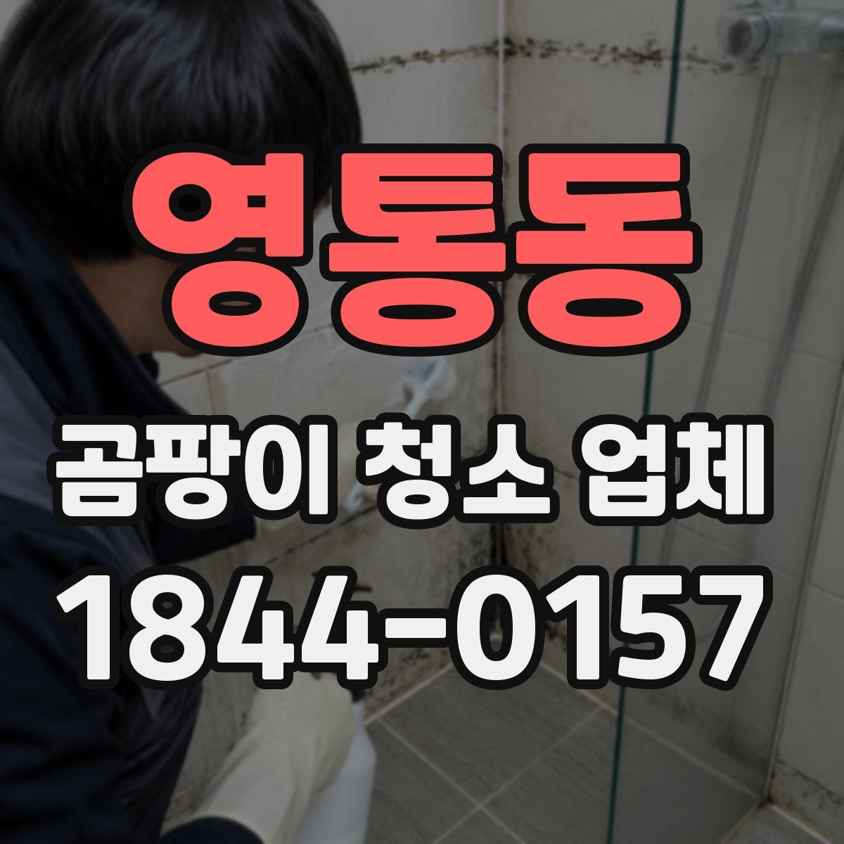 영통동 곰팡이 청소 업체