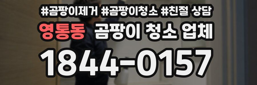 영통동 곰팡이 청소 업체