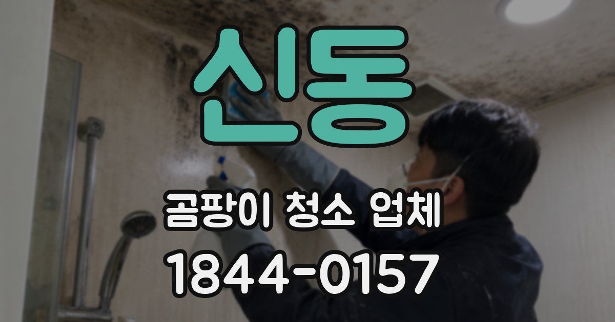 신동 곰팡이 청소 업체