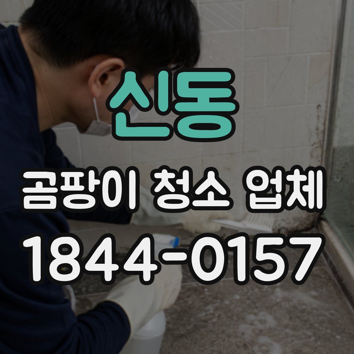 신동 곰팡이 청소 업체