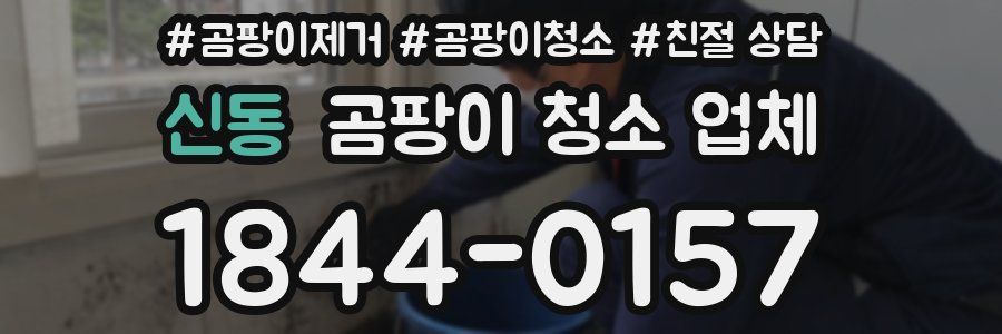 신동 곰팡이 청소 업체
