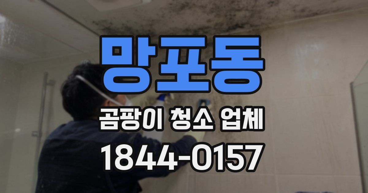 망포동 곰팡이 청소 업체