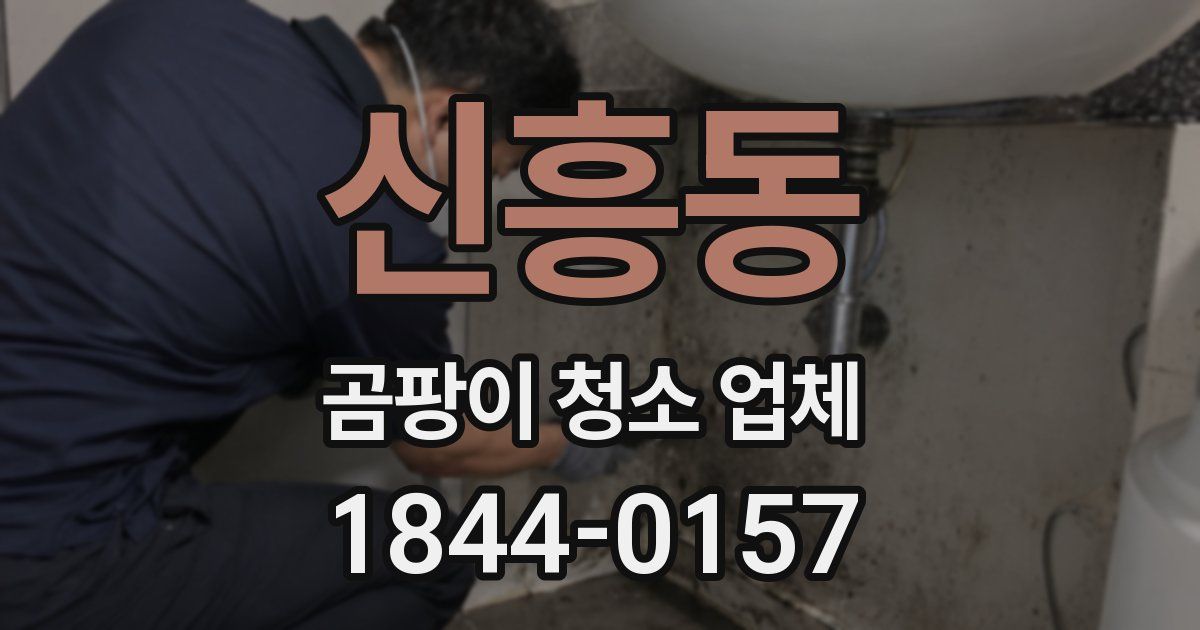 신흥동 곰팡이 청소 업체