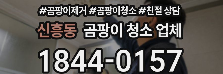 신흥동 곰팡이 청소 업체