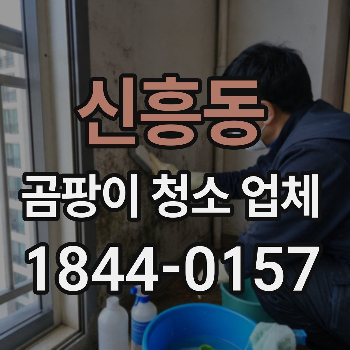 신흥동 곰팡이 청소 업체