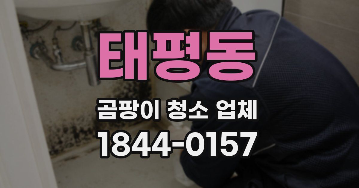 태평동 곰팡이 청소 업체