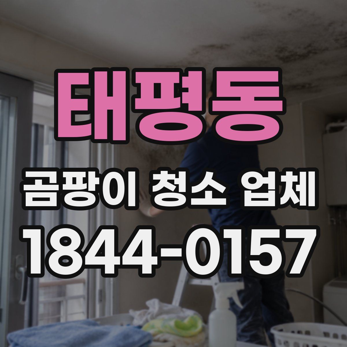 태평동 곰팡이 청소 업체