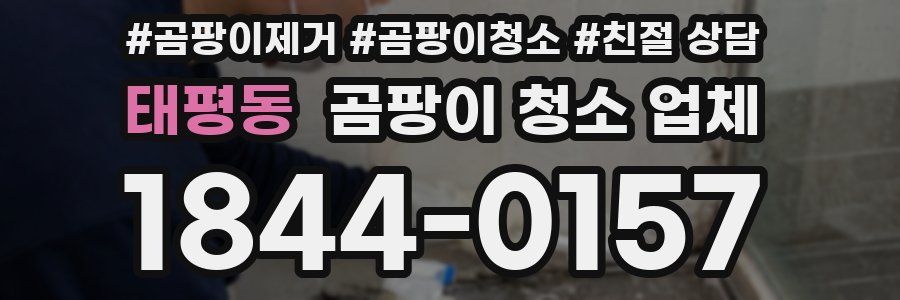 태평동 곰팡이 청소 업체