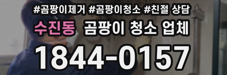 수진동 곰팡이 청소 업체