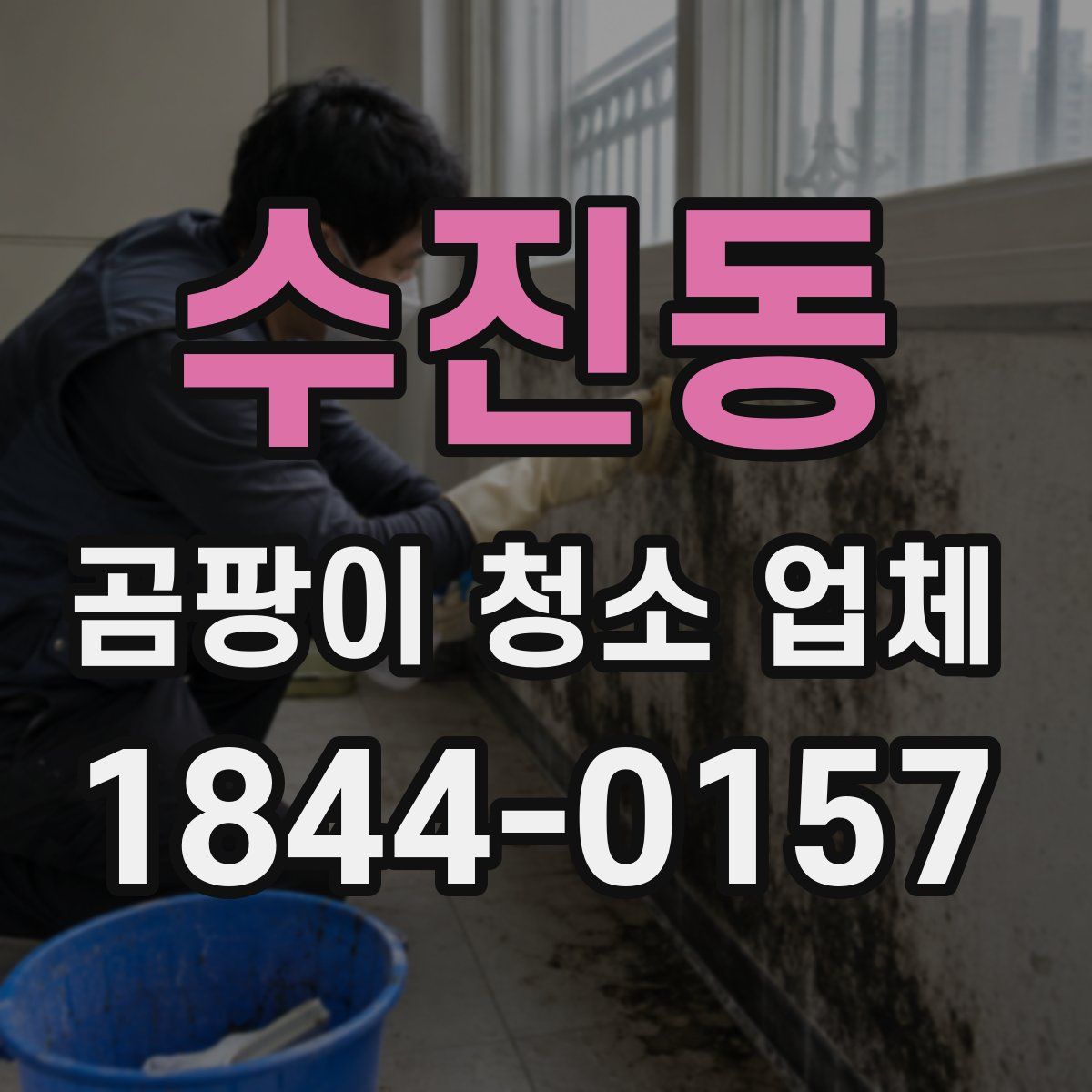 수진동 곰팡이 청소 업체