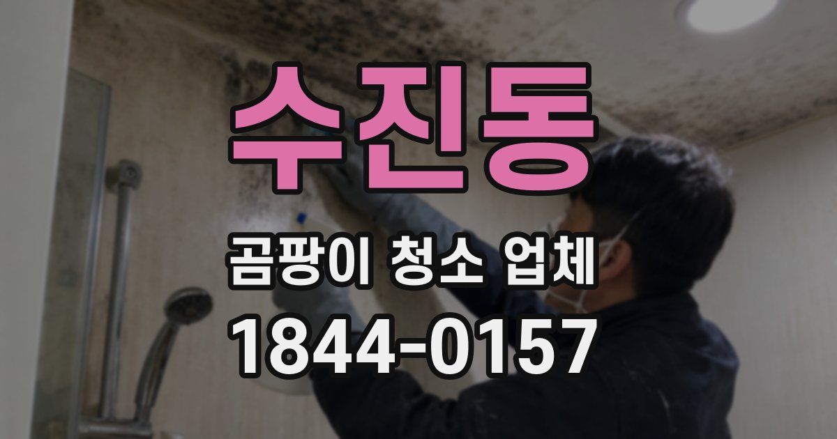 수진동 곰팡이 청소 업체