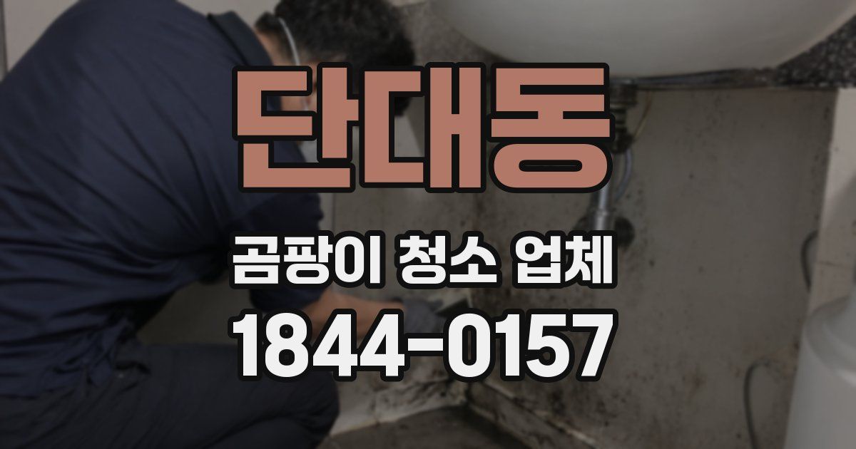 단대동 곰팡이 청소 업체