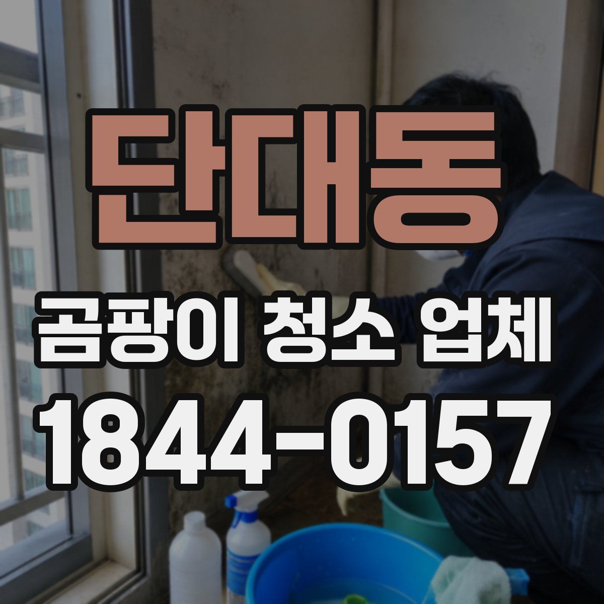단대동 곰팡이 청소 업체