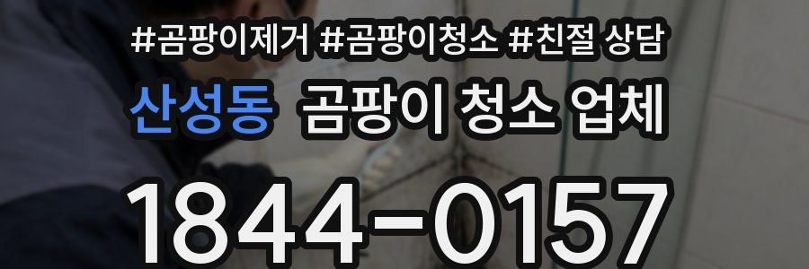 산성동 곰팡이 청소 업체
