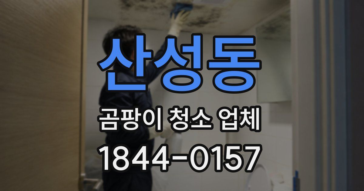 산성동 곰팡이 청소 업체