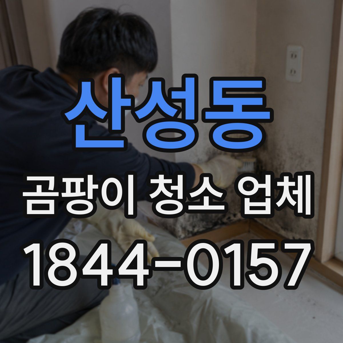 산성동 곰팡이 청소 업체