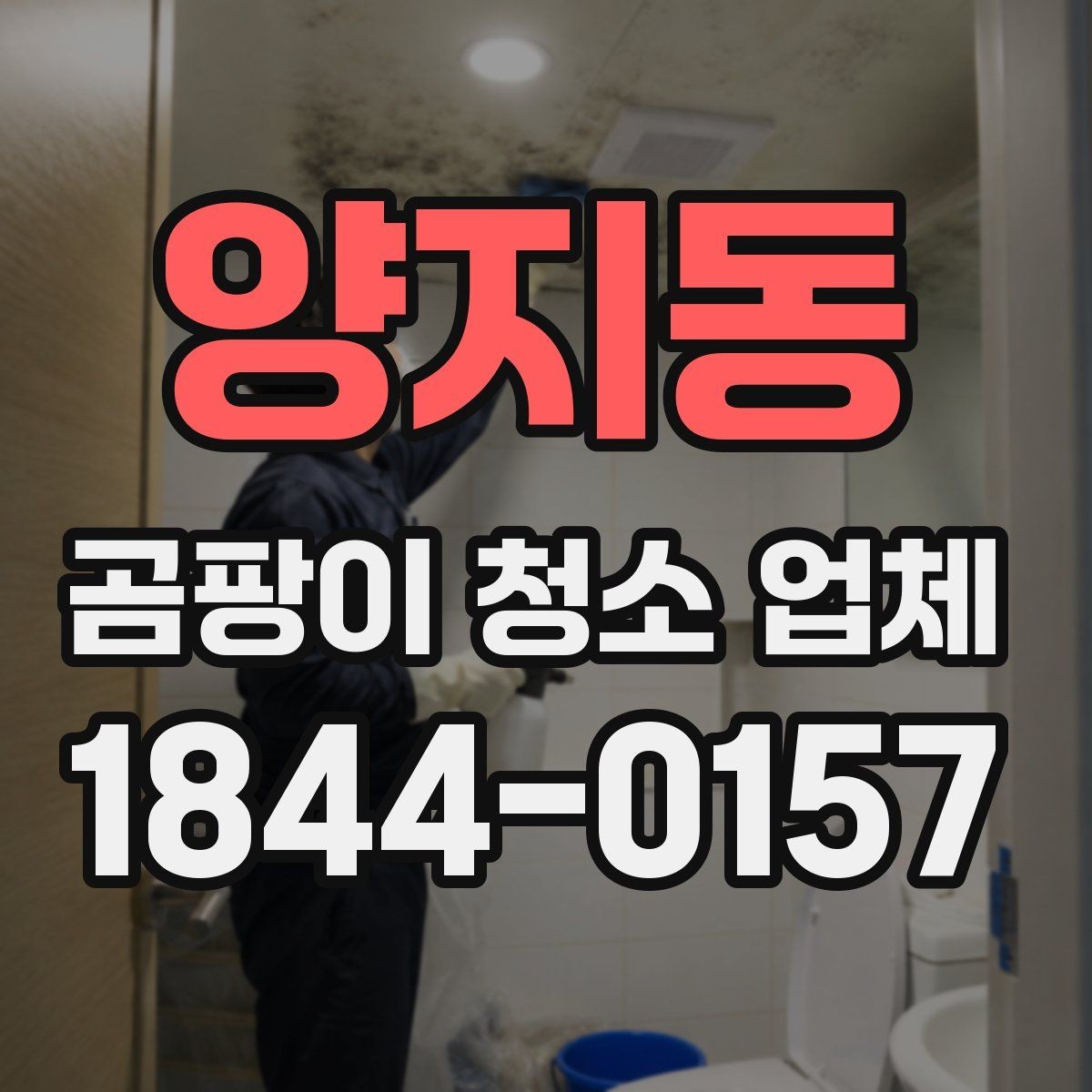 양지동 곰팡이 청소 업체 의뢰가 적절한 타이밍은 언제일까