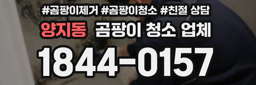 양지동 곰팡이 청소 업체