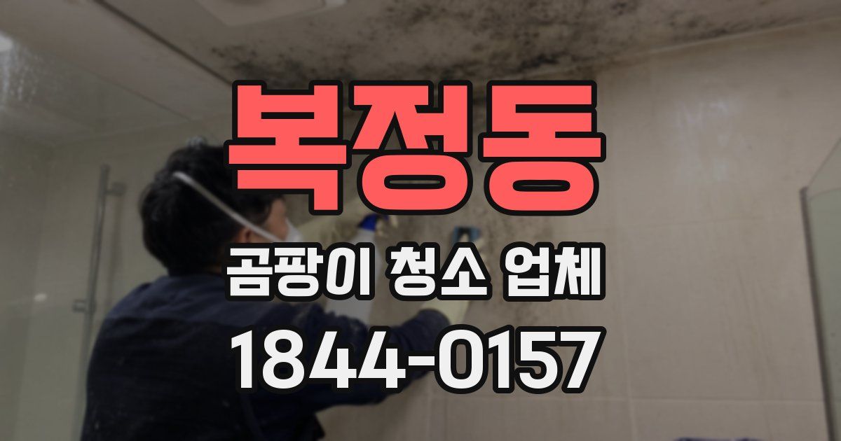 복정동 곰팡이 청소 업체