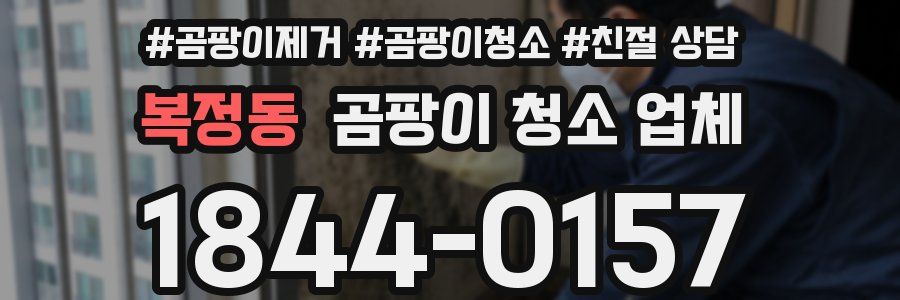 복정동 곰팡이 청소 업체