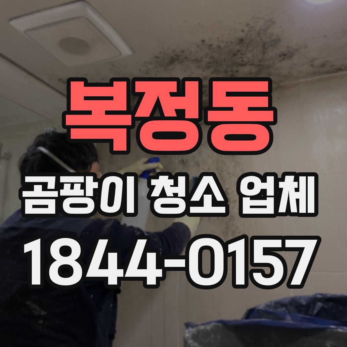 복정동 곰팡이 청소 업체