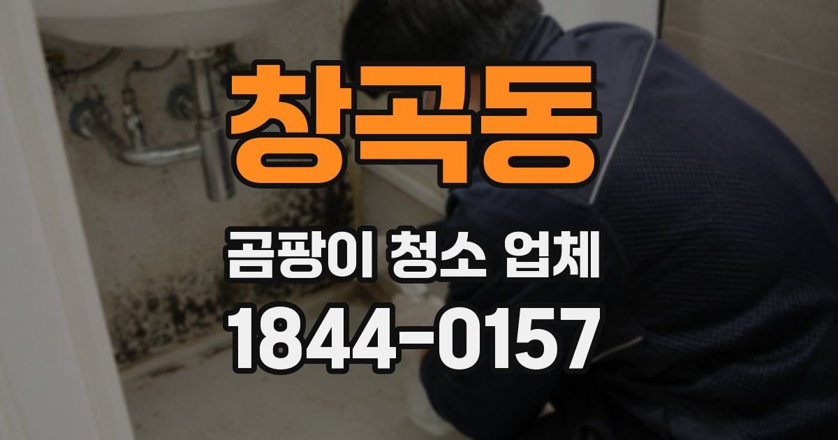 창곡동 곰팡이 청소 업체