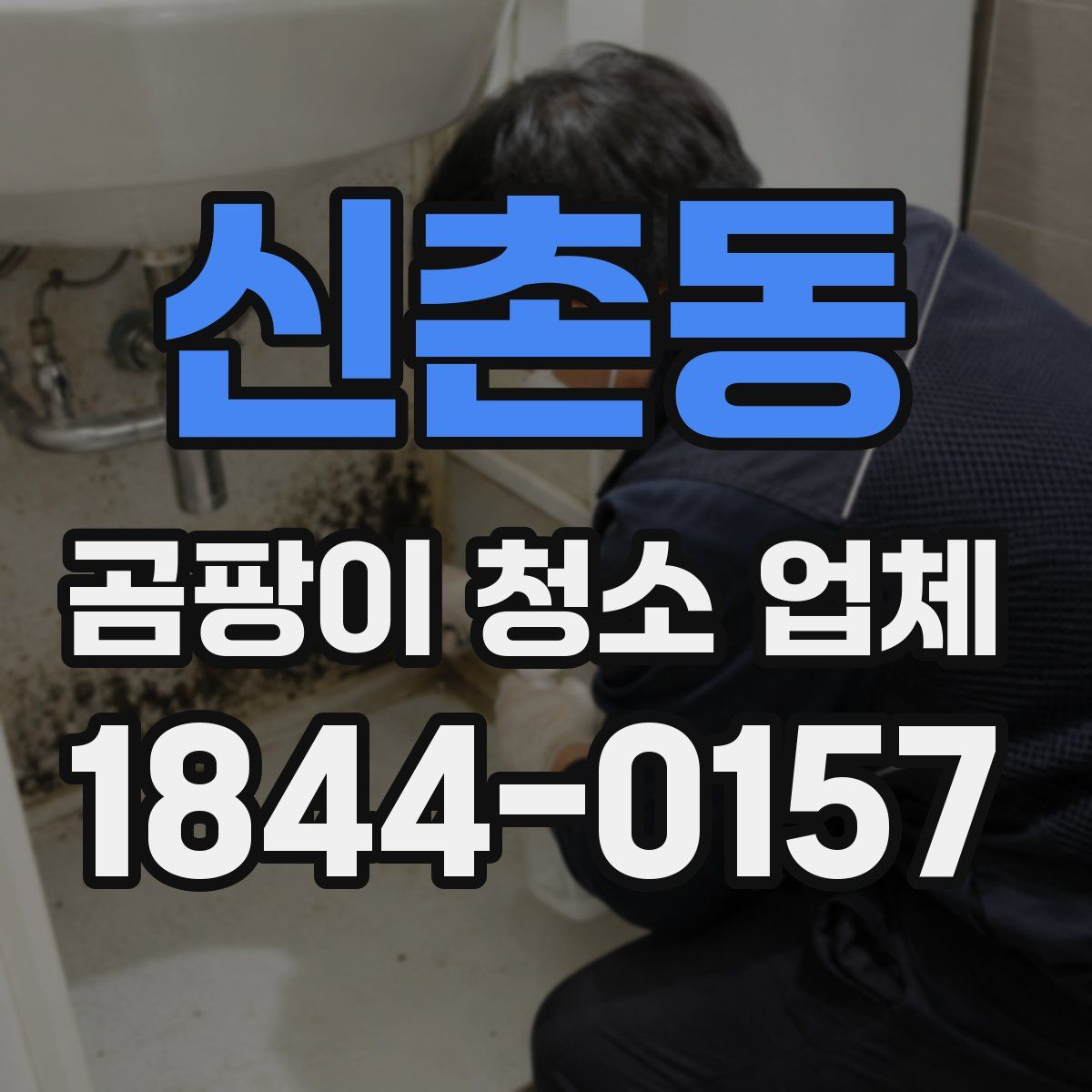 신촌동 곰팡이 청소 업체