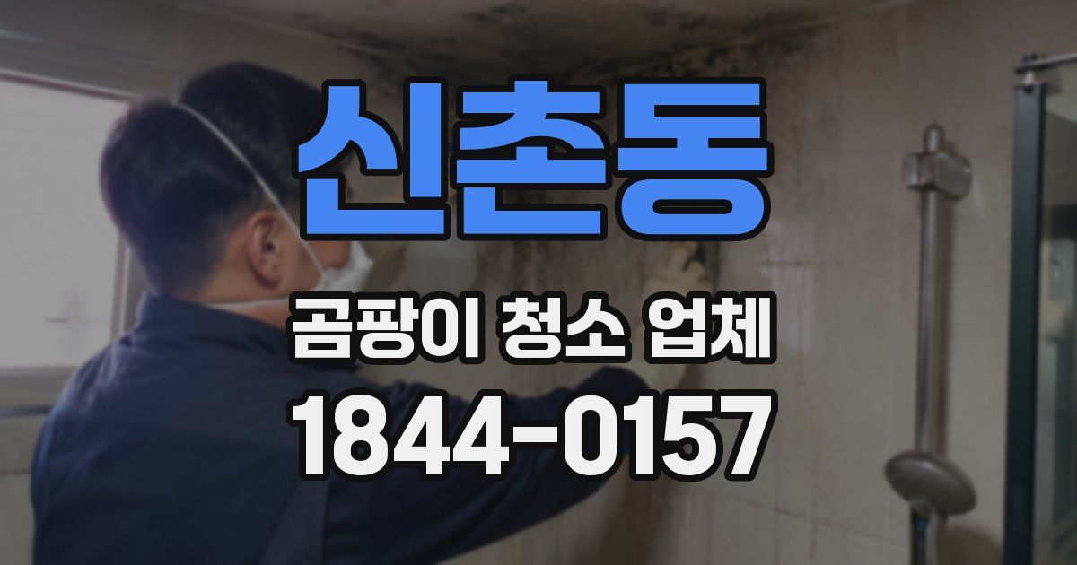 신촌동 곰팡이 청소 업체
