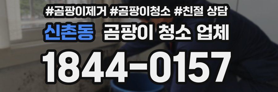 신촌동 곰팡이 청소 업체