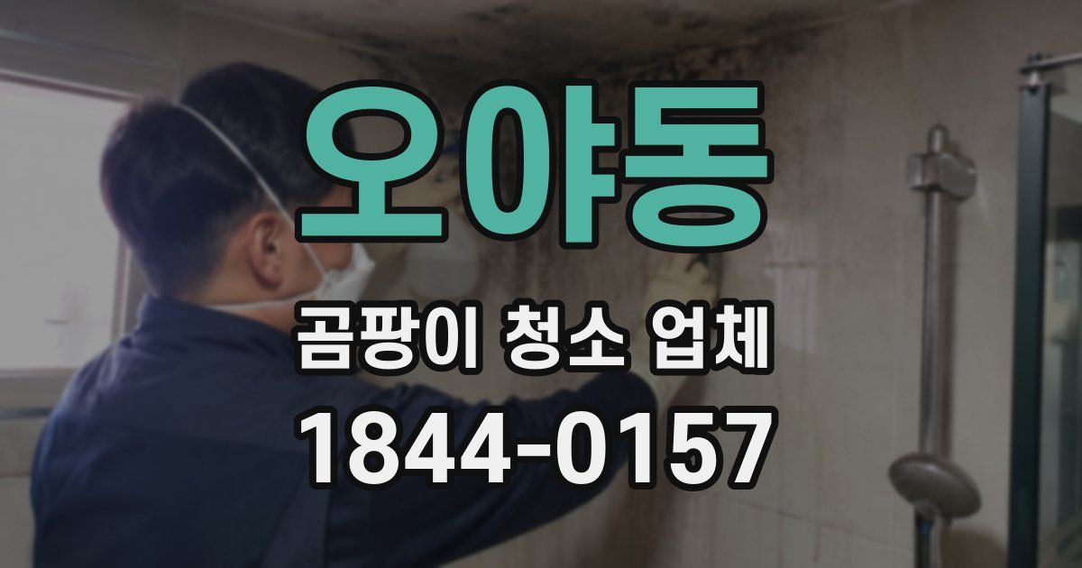 오야동 곰팡이 청소 업체