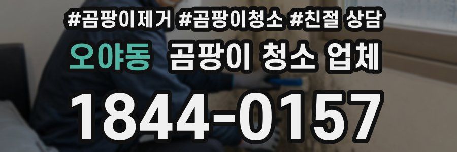 오야동 곰팡이 청소 업체