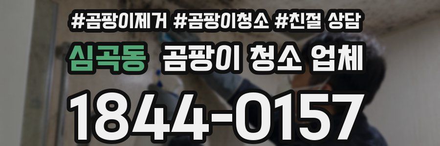심곡동 곰팡이 청소 업체