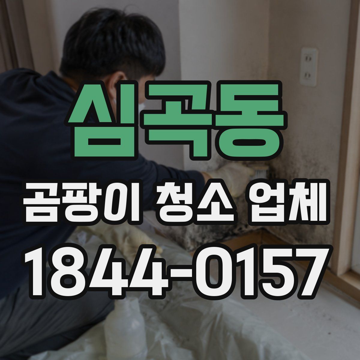 심곡동 곰팡이 청소 업체