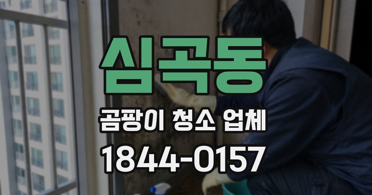심곡동 곰팡이 청소 업체