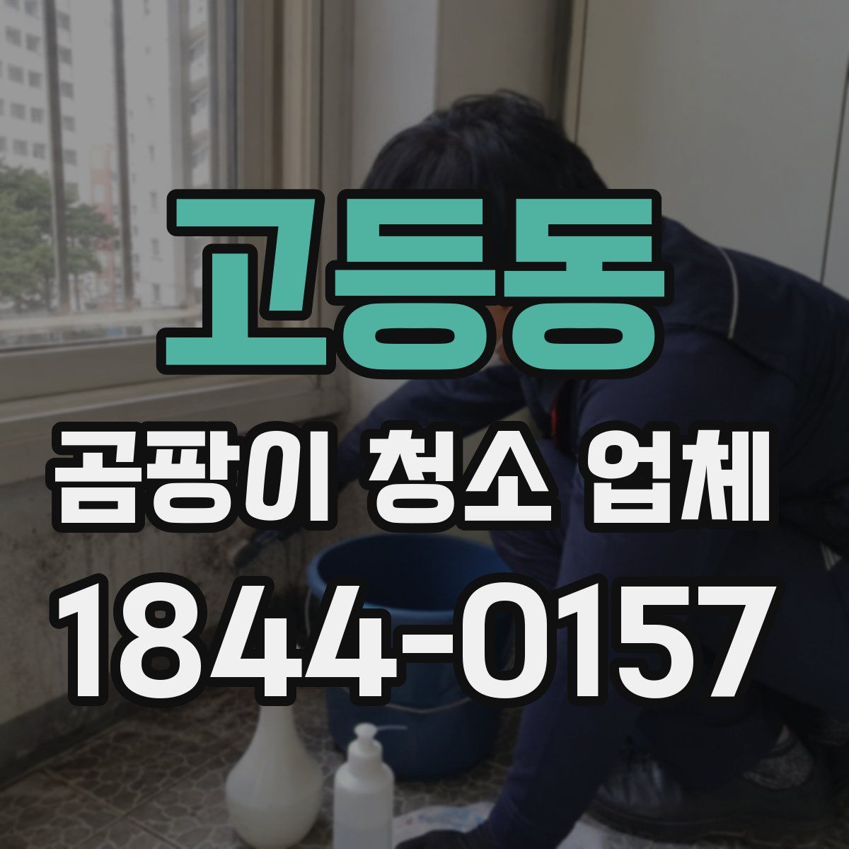 고등동 곰팡이 청소 업체