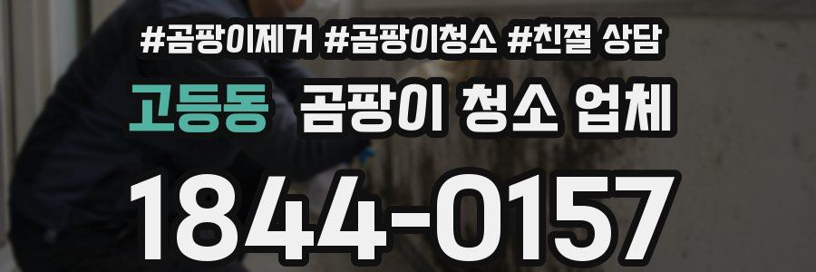 고등동 곰팡이 청소 업체