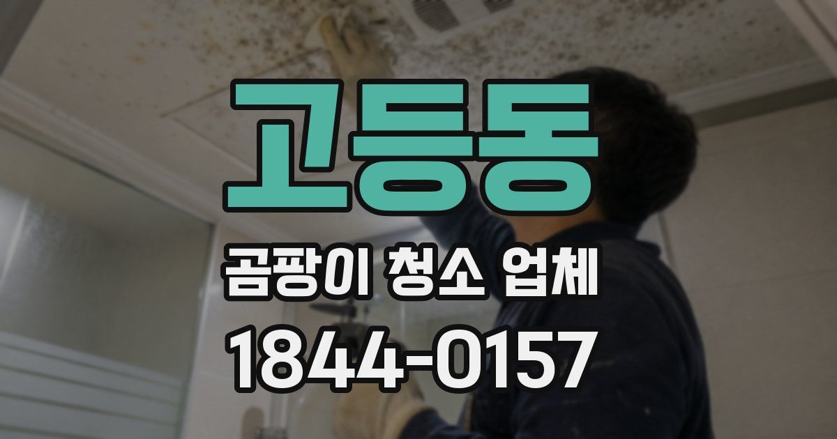 고등동 곰팡이 청소 업체