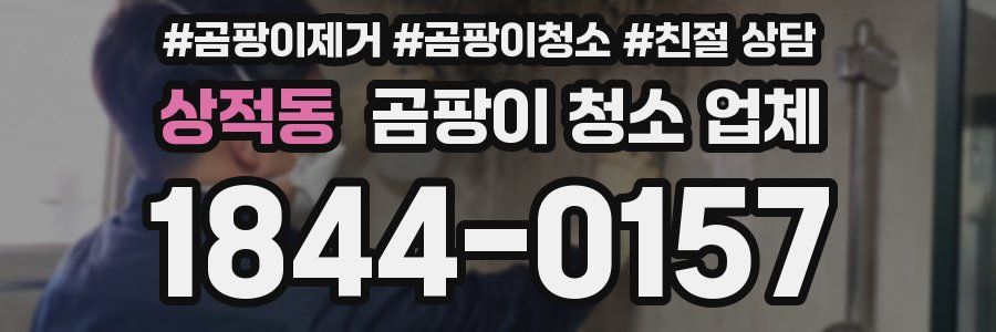 상적동 곰팡이 청소 업체